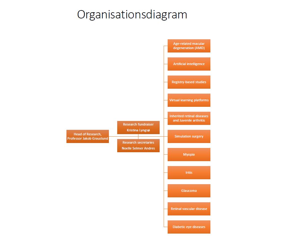 Organisationsdiagram